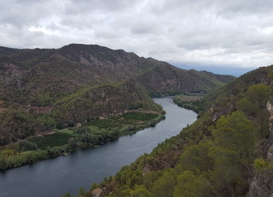 Grup fent activitats Beniemocions Terres de l'Ebre