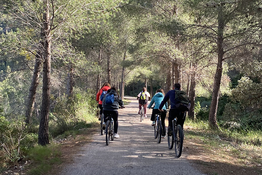 Família en bicicleta Via Verda Terres de l'Ebre