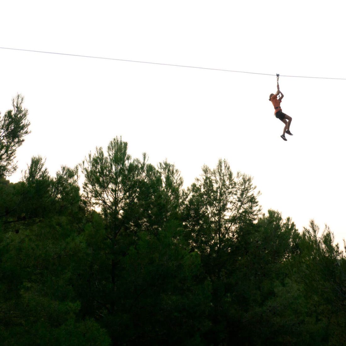 Parc d'aventura — Tirolines i circuits a les Terres de l'Ebre